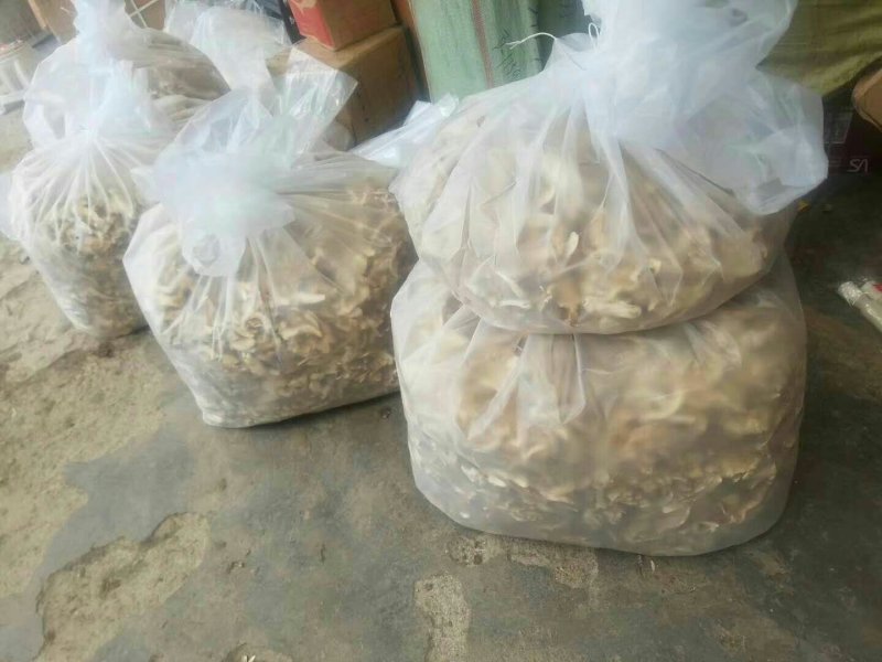 松茸干片