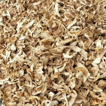 松茸干片