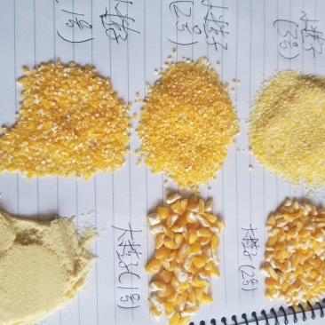 各种玉米碴玉米面食品级