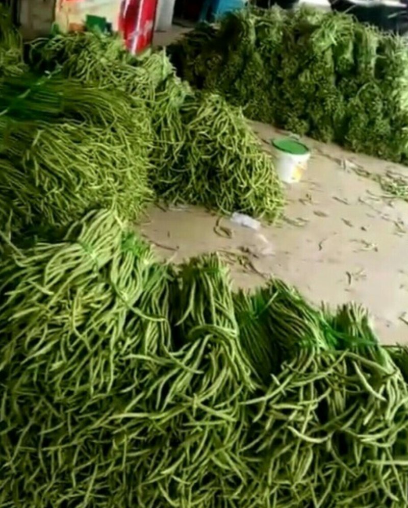 豇豆