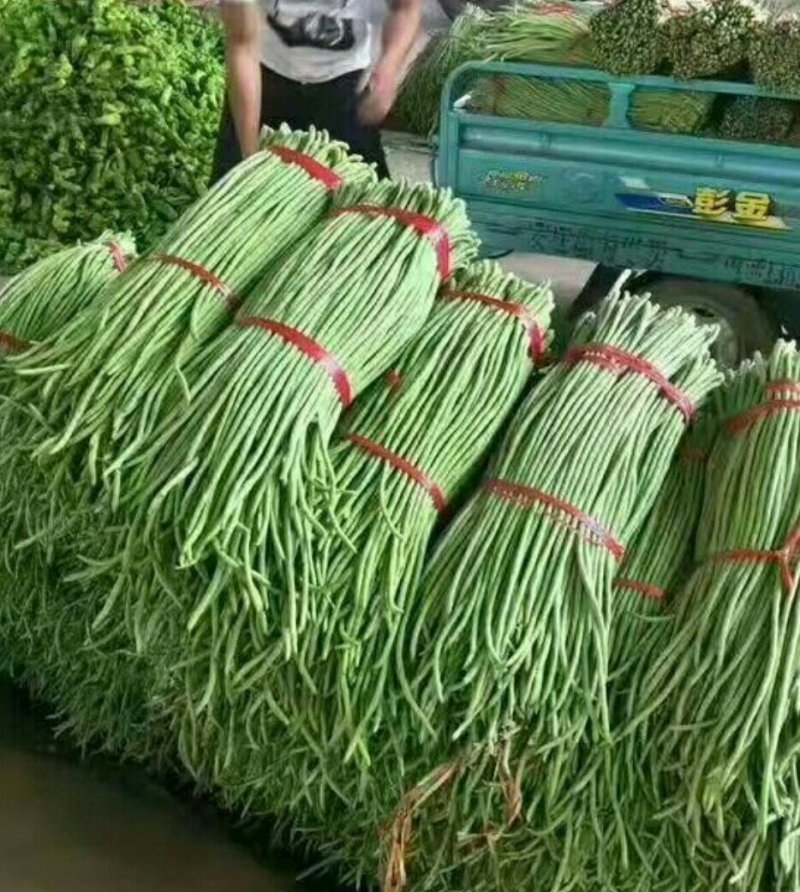 豇豆