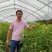俄罗斯8号樱桃苗，品种纯正，基地直销提供种植技术