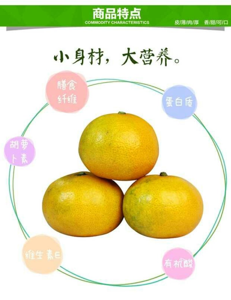 柑桔自产自销，物美价廉欢迎咨询订购
