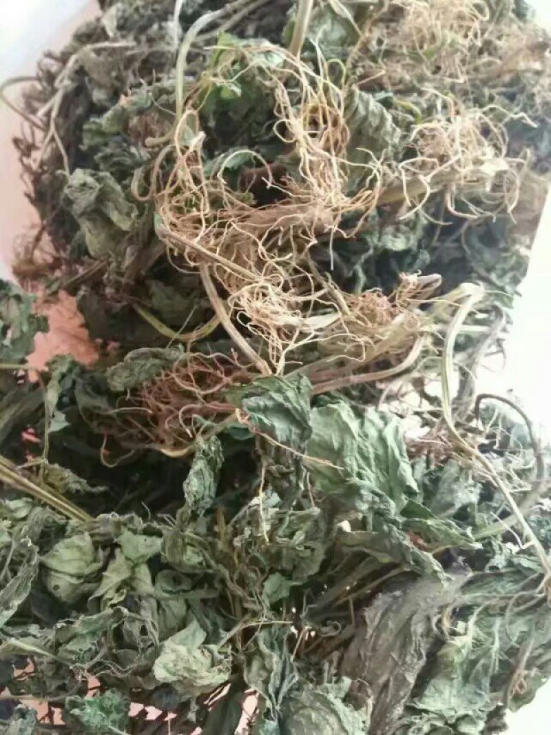 野生夏田菊干货5斤起发货数量有限，先到先得