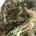 野生夏田菊干货5斤起发货数量有限，先到先得