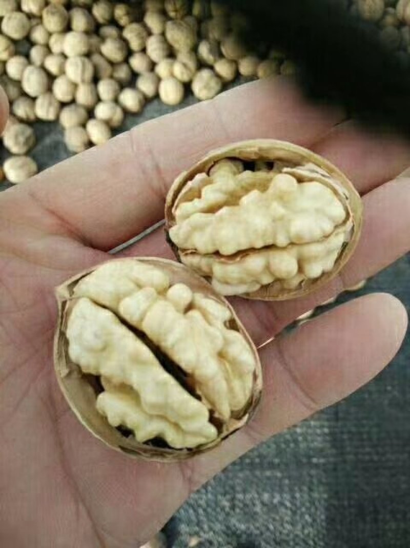 185核桃/纸皮核桃/新疆纸皮核桃/温152