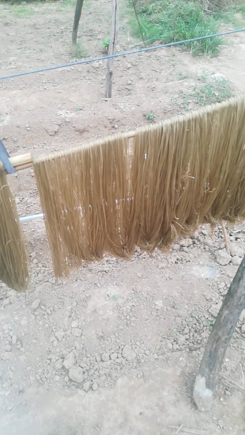 长年出销粉条粉皮量大优惠