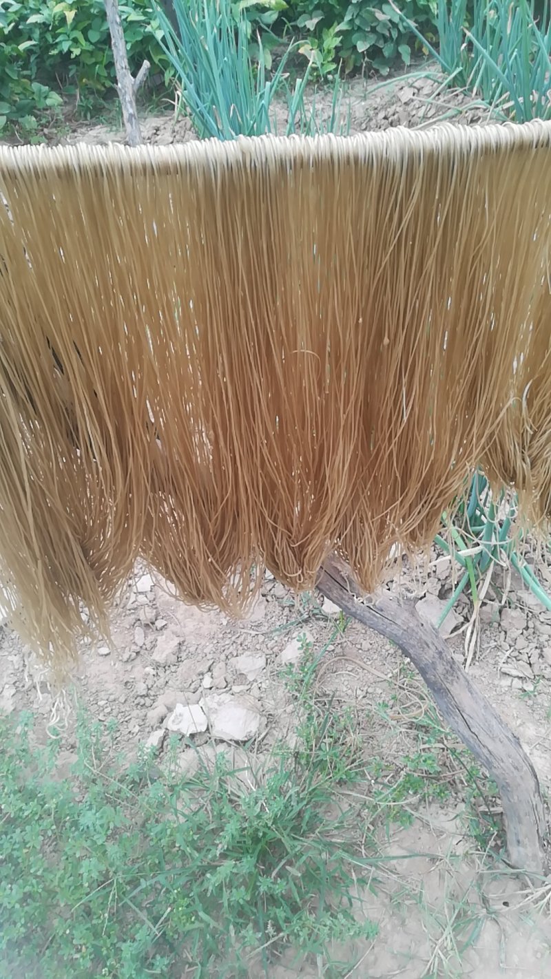 长年出销粉条粉皮量大优惠