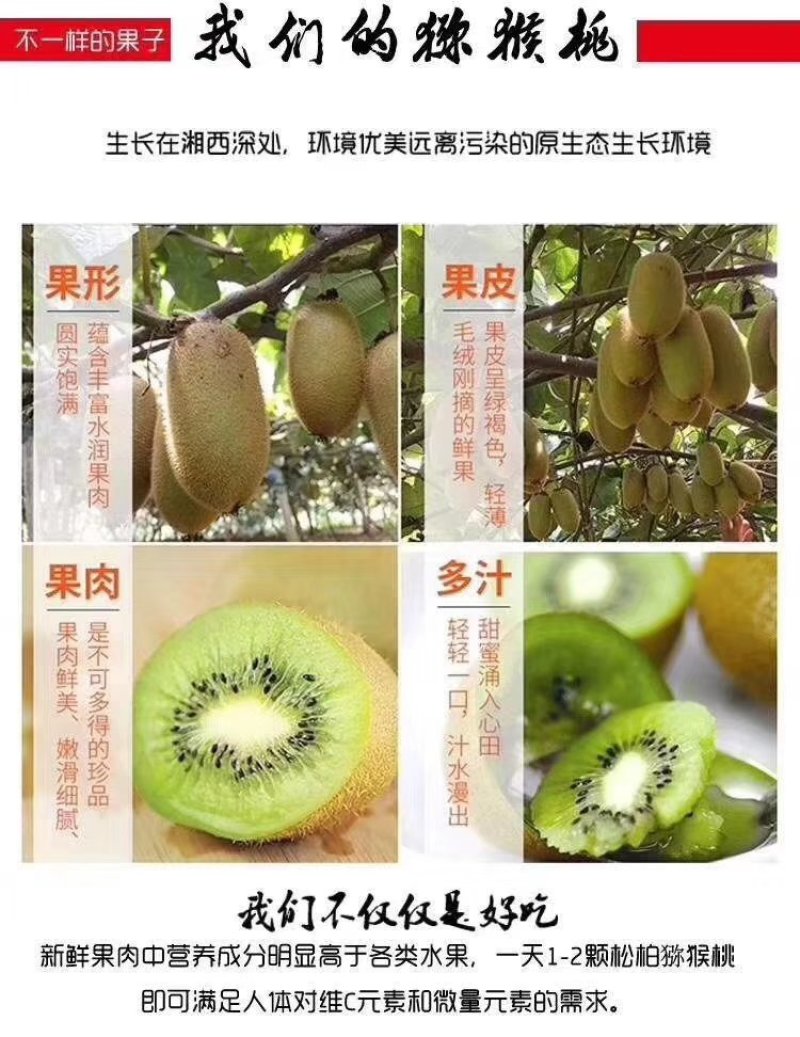 松柏镇猕猴桃