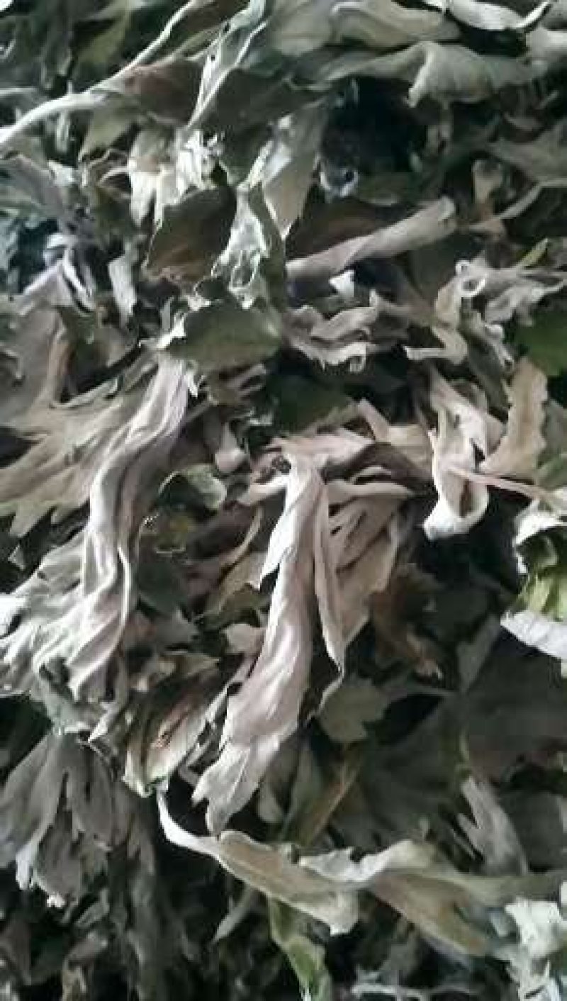 艾绒艾根等艾制品。
