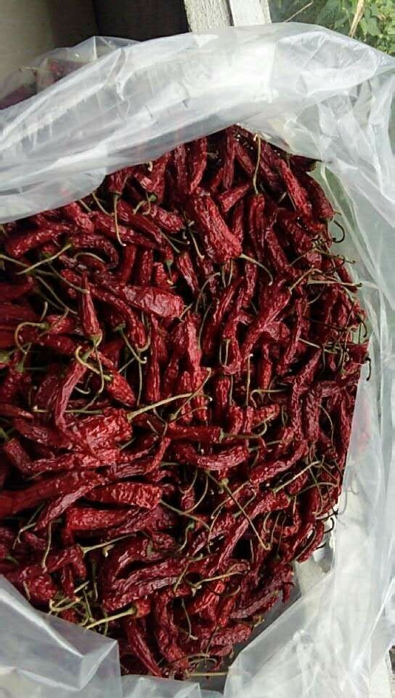 龙胜龙脊辣椒干