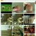 80克以上，包邮(十斤装)
