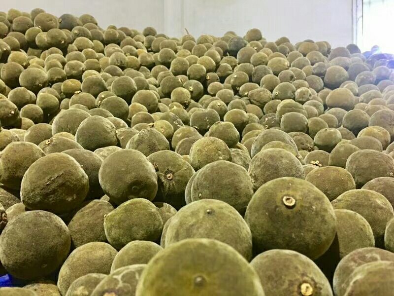 橘红化州产地直供