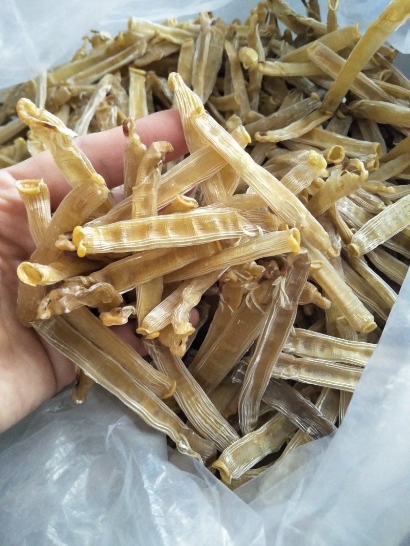 大条沙虫干
