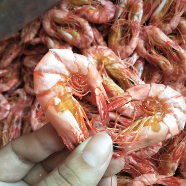 斑节虾干