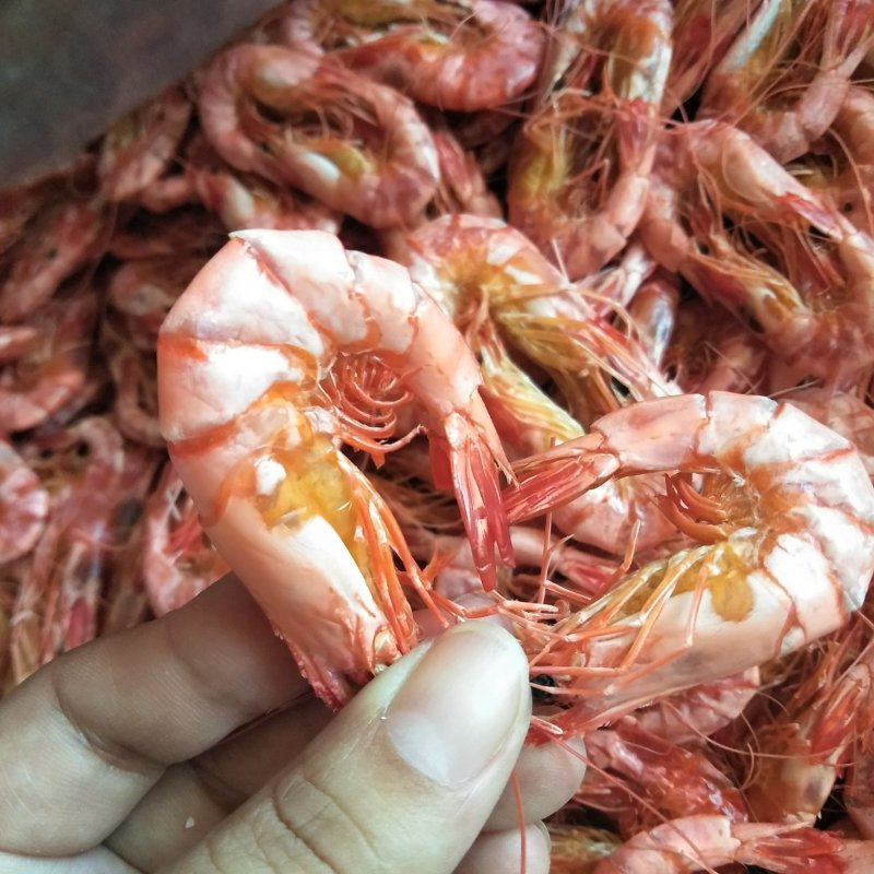 斑节虾干