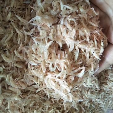 虾皮