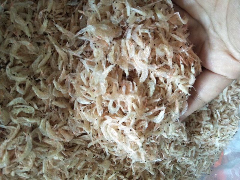 虾皮