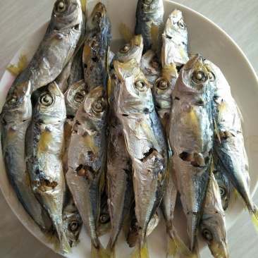 巴浪鱼干