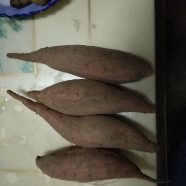 4两以上红皮红芯烟薯25