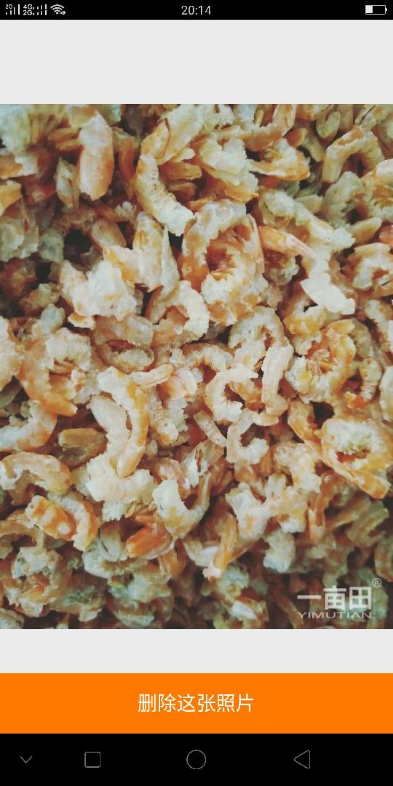 绿色纯天然海洋食品
