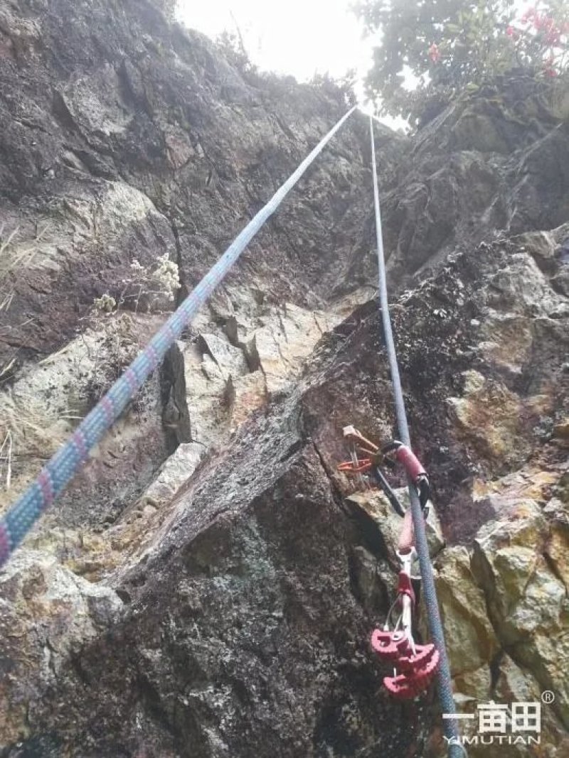 云南迪庆原生态纯天然野生岩峰蜜，品质一流尖品