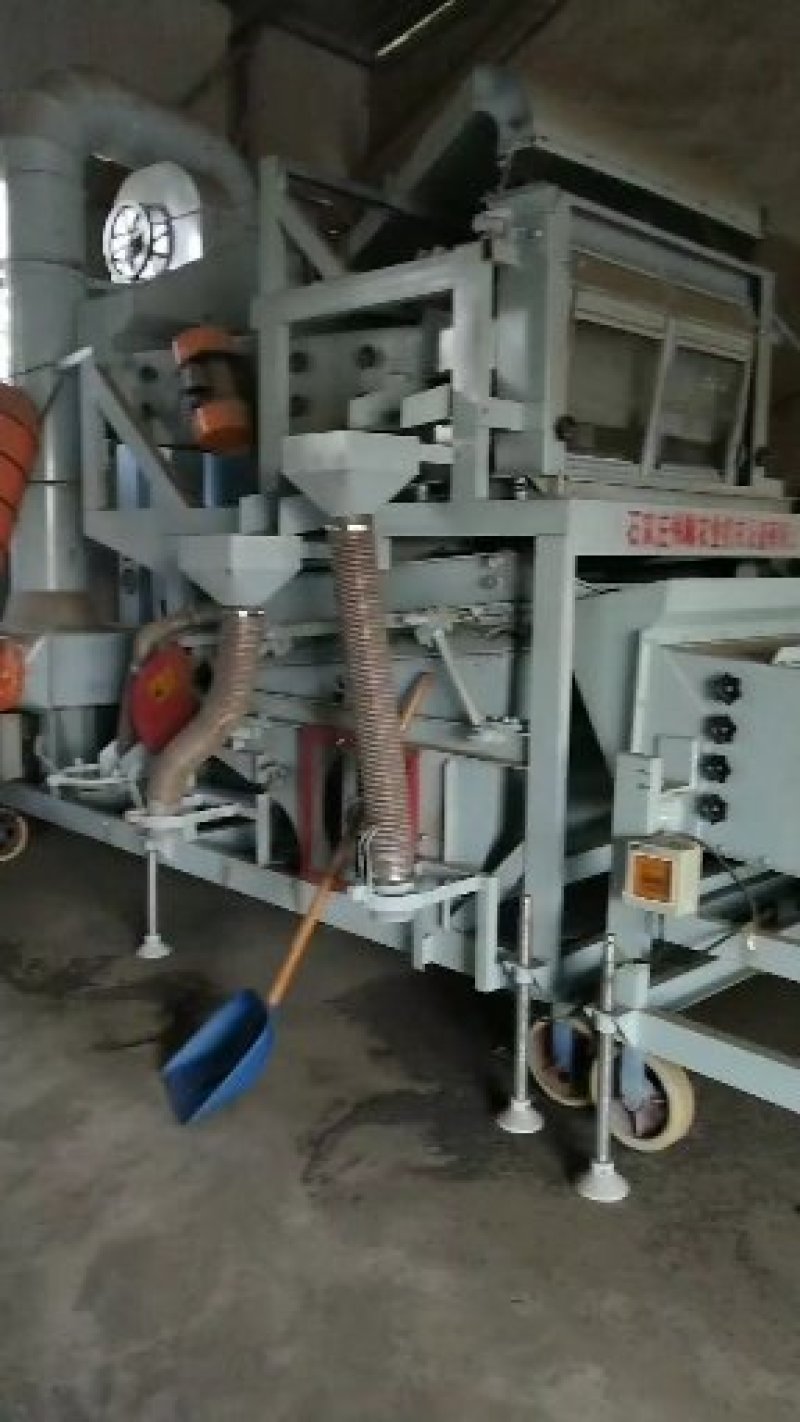 油菜籽1级纯本地菜籽，油色好，油量高