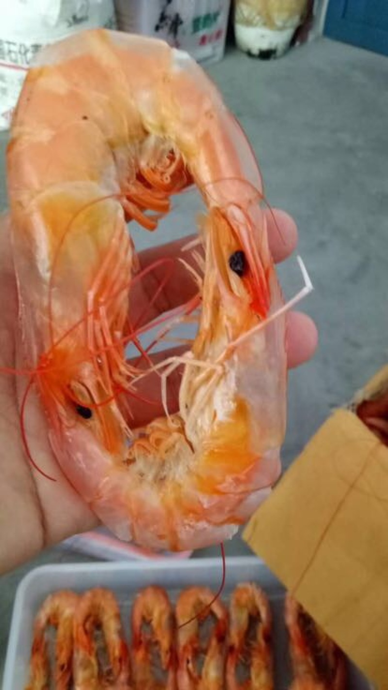 对虾干