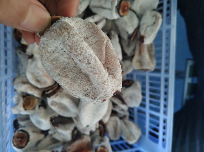 陕西富平吊柿饼