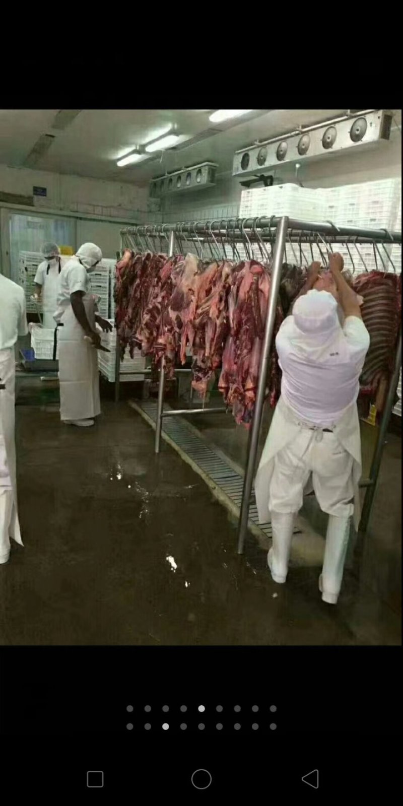 驴肉，马肉。驴下水。