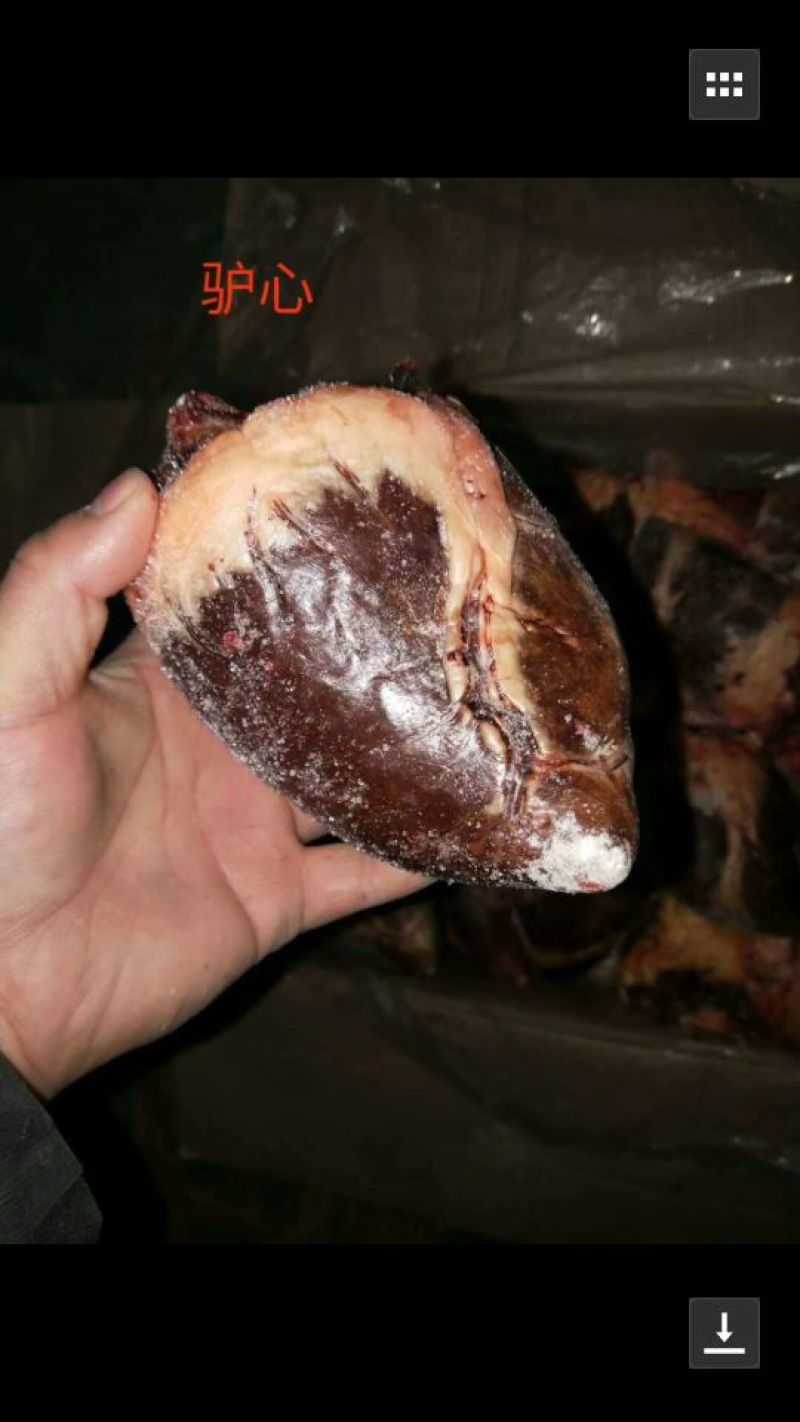 大量批发驴肉，价格便宜，需要联系。