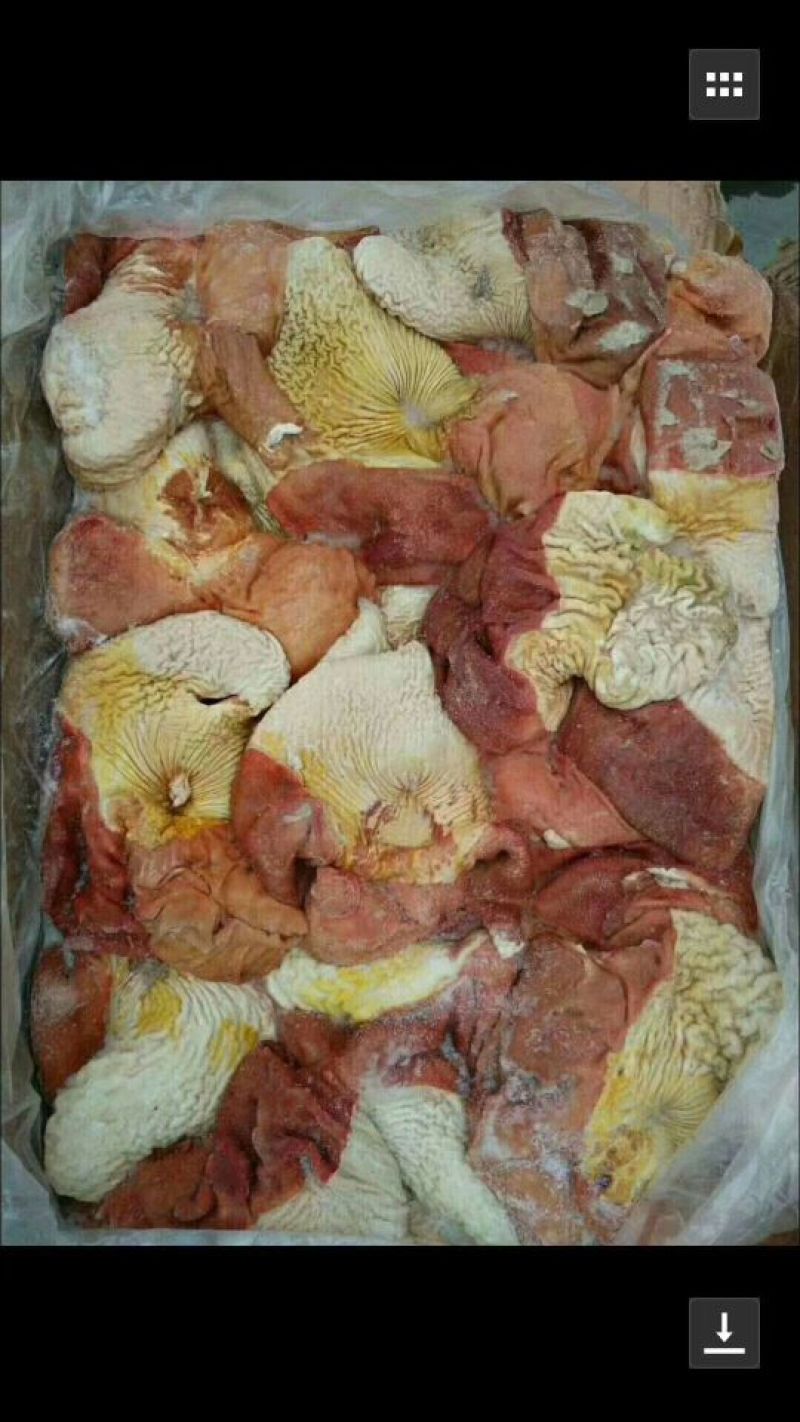 大量批发驴肉