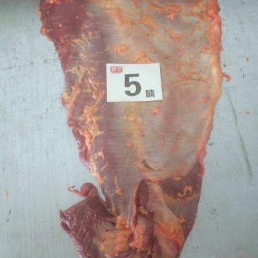 蒙古肉类