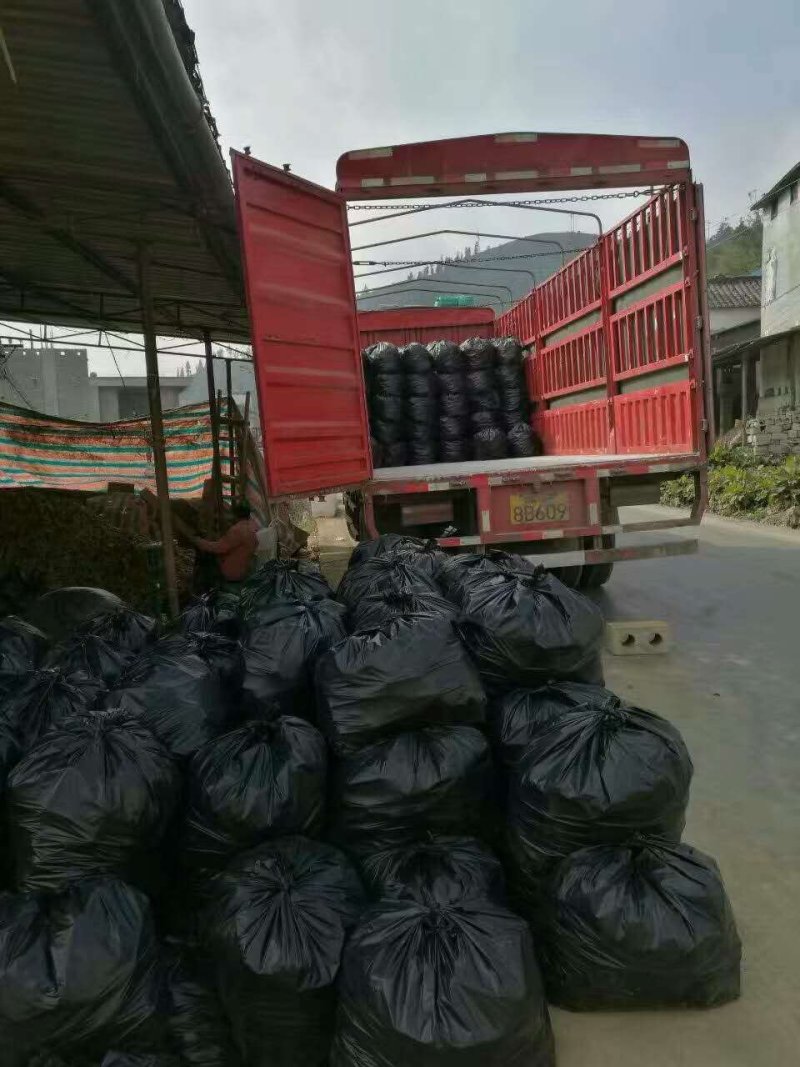 泗水小黄姜2两以上带土大量出售中…………