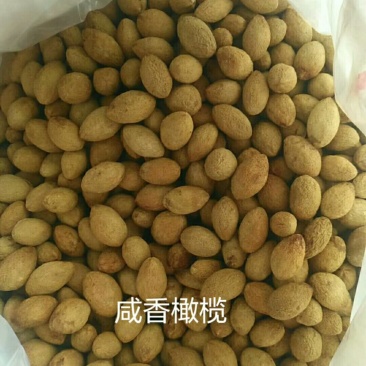 干果食品