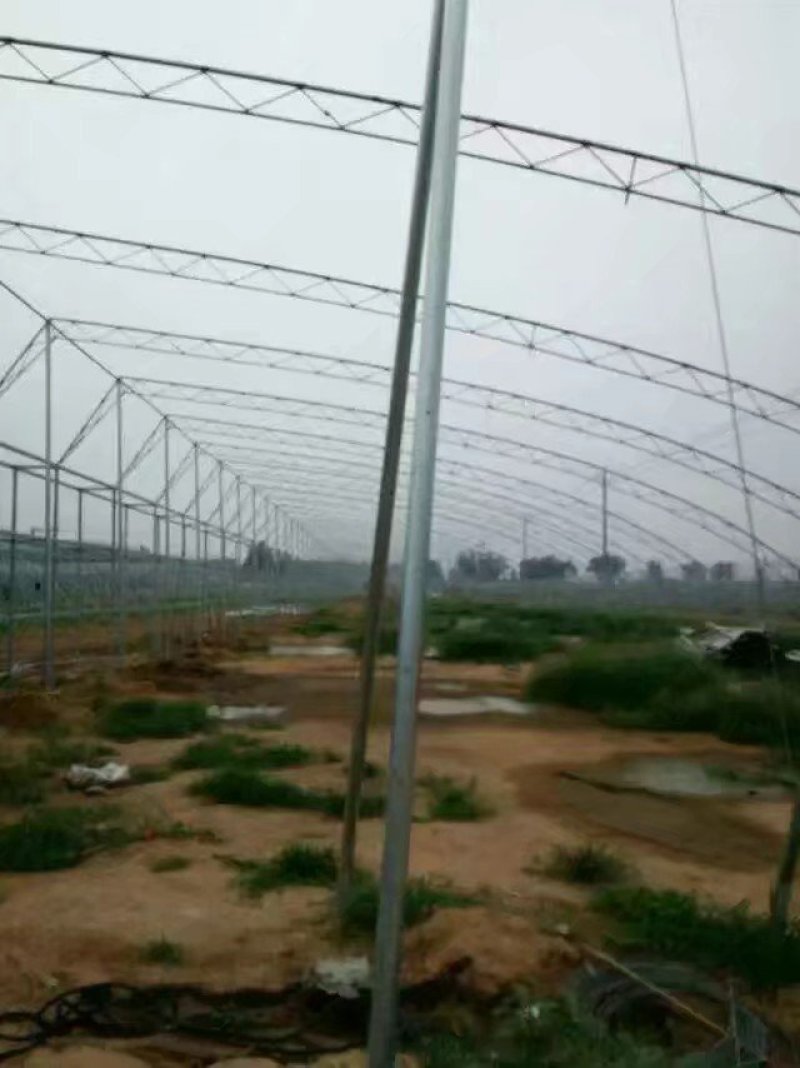 暖棚建造厂家