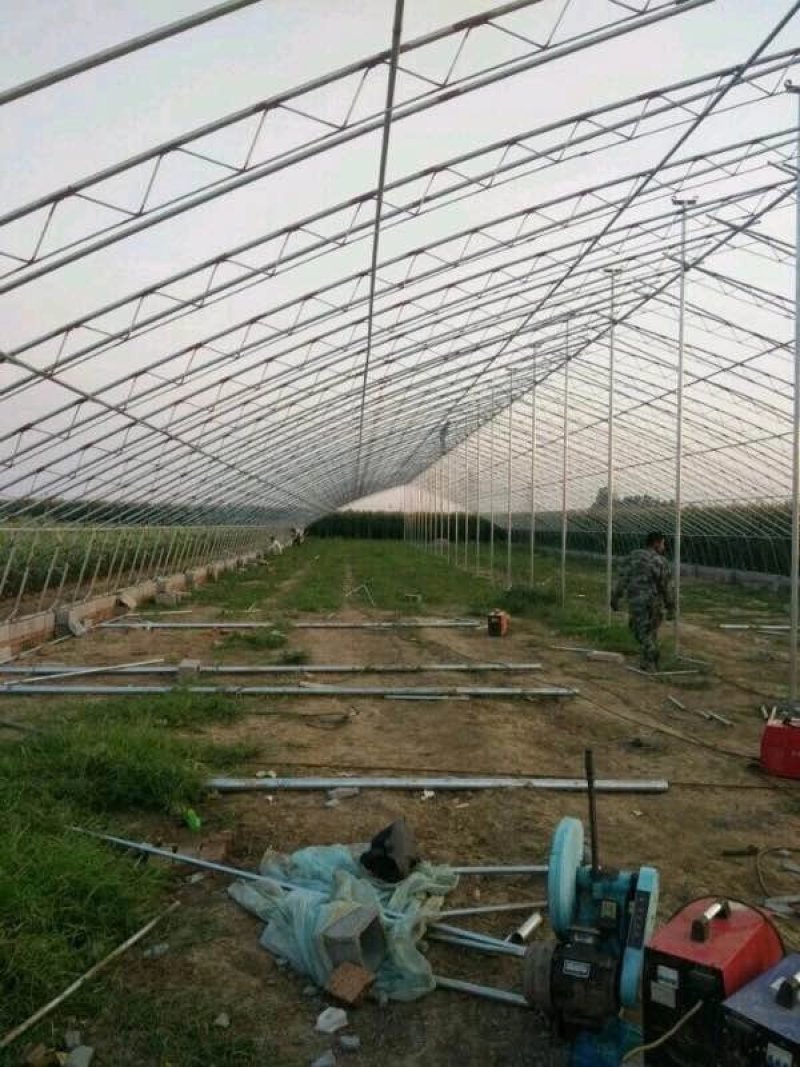 暖棚建造厂家