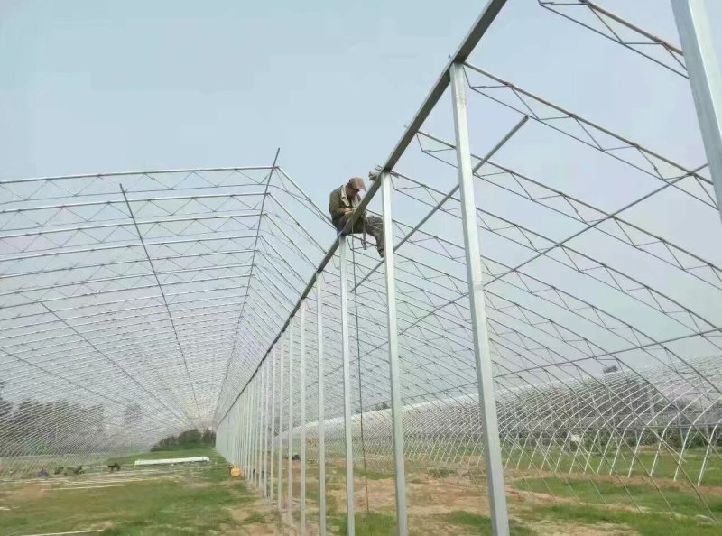 暖棚建造厂家