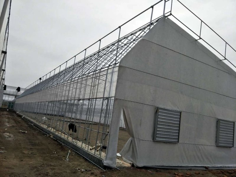 暖棚建造厂家