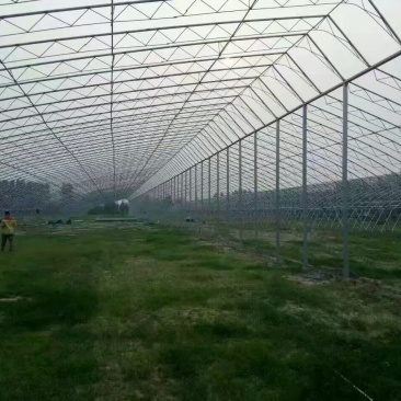 暖棚建造厂家