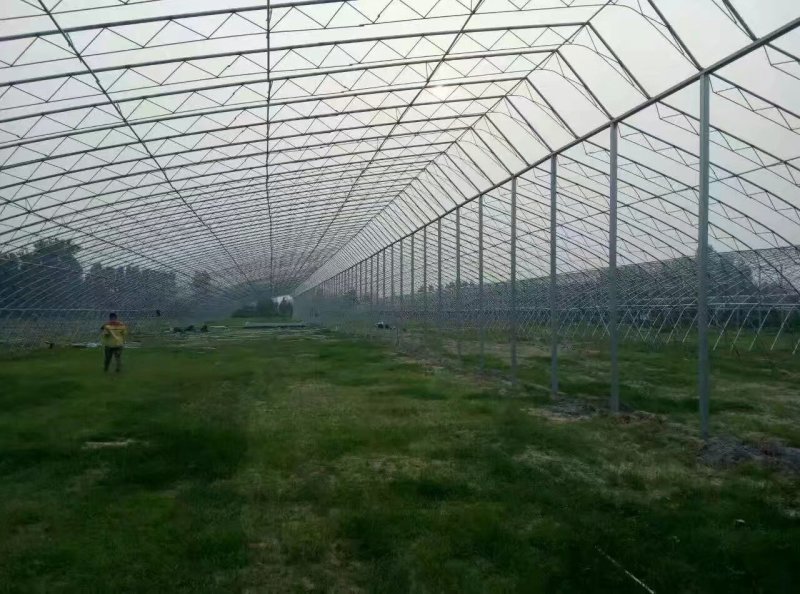 暖棚建造厂家