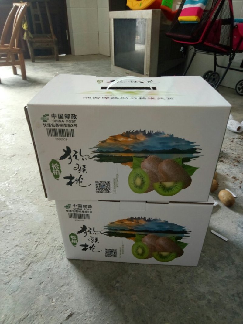 米良1号猕猴桃