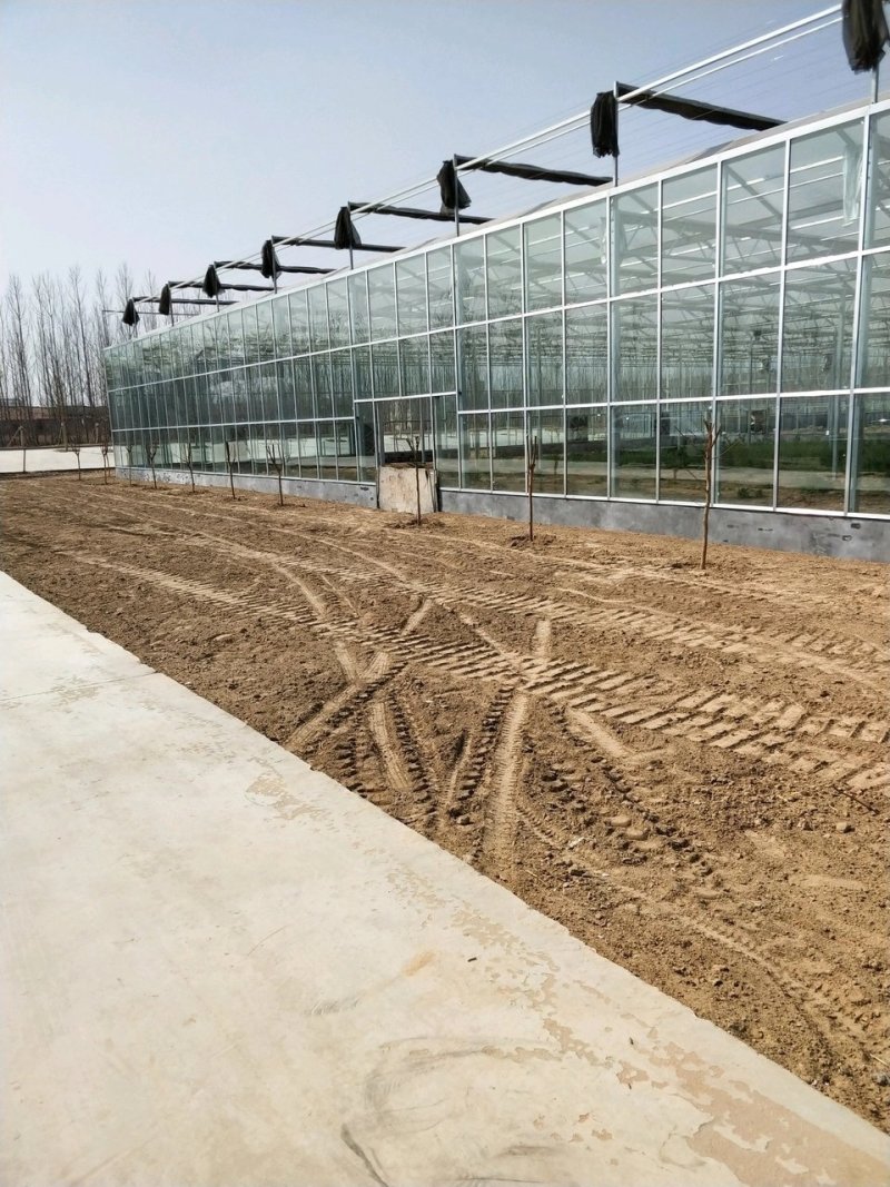 生态餐厅温室专业生产厂家