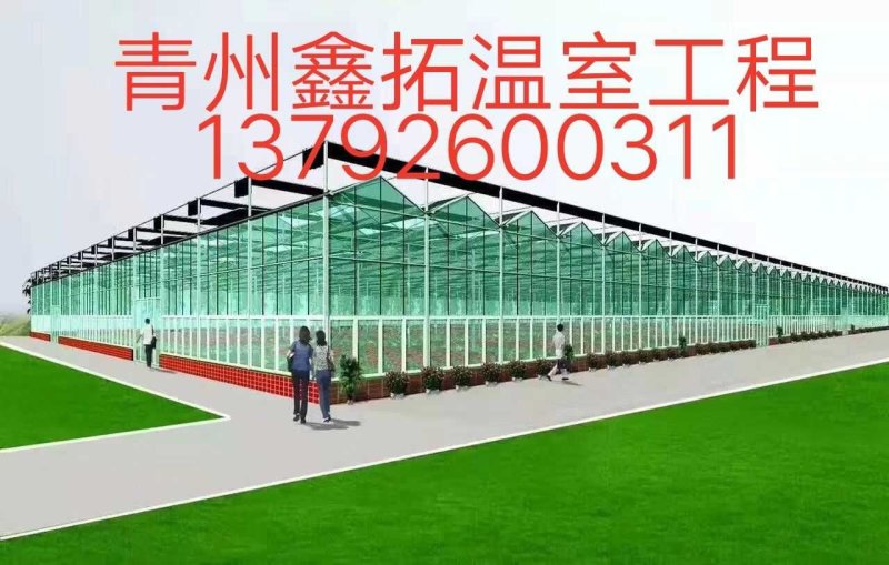 生态餐厅温室专业生产厂家