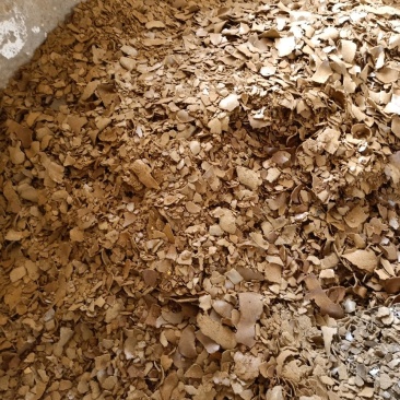 米糠大量供应
