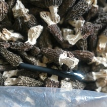 羊肚菌干货