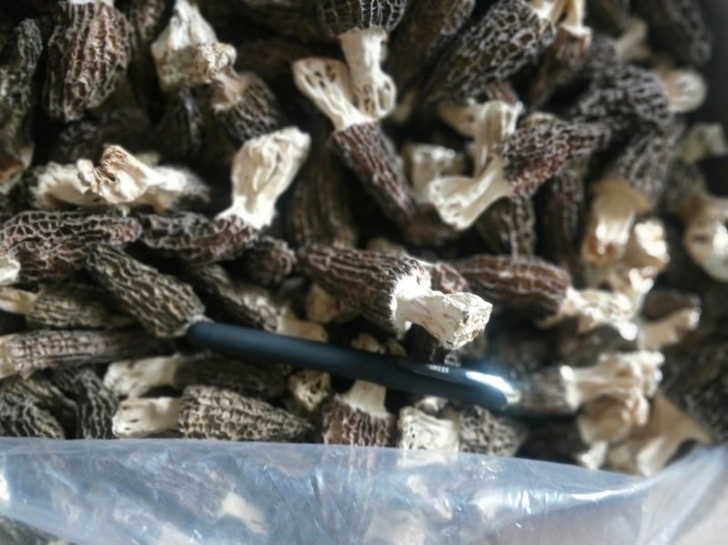 羊肚菌干货