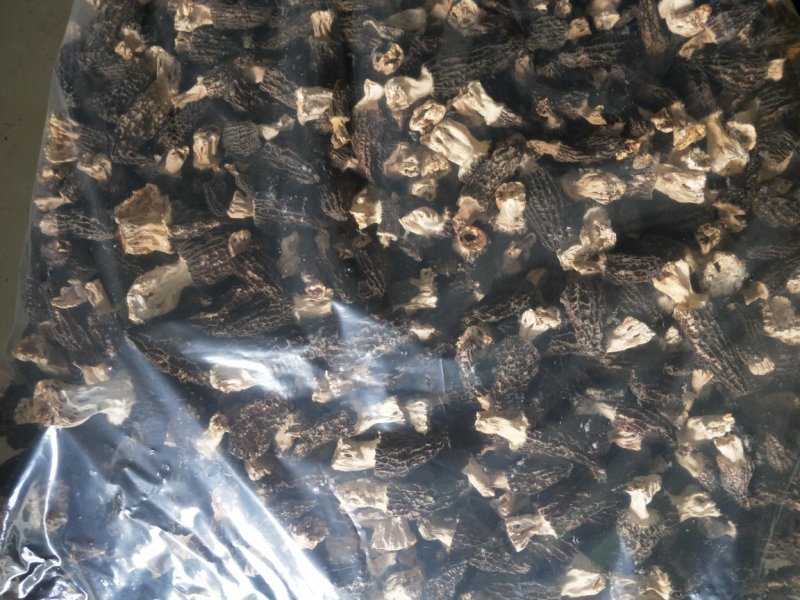 羊肚菌干货