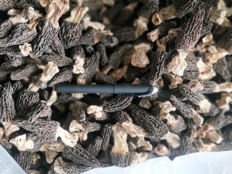 羊肚菌干货