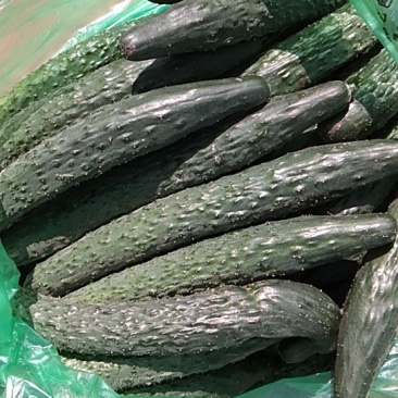 出售大棚蔬菜